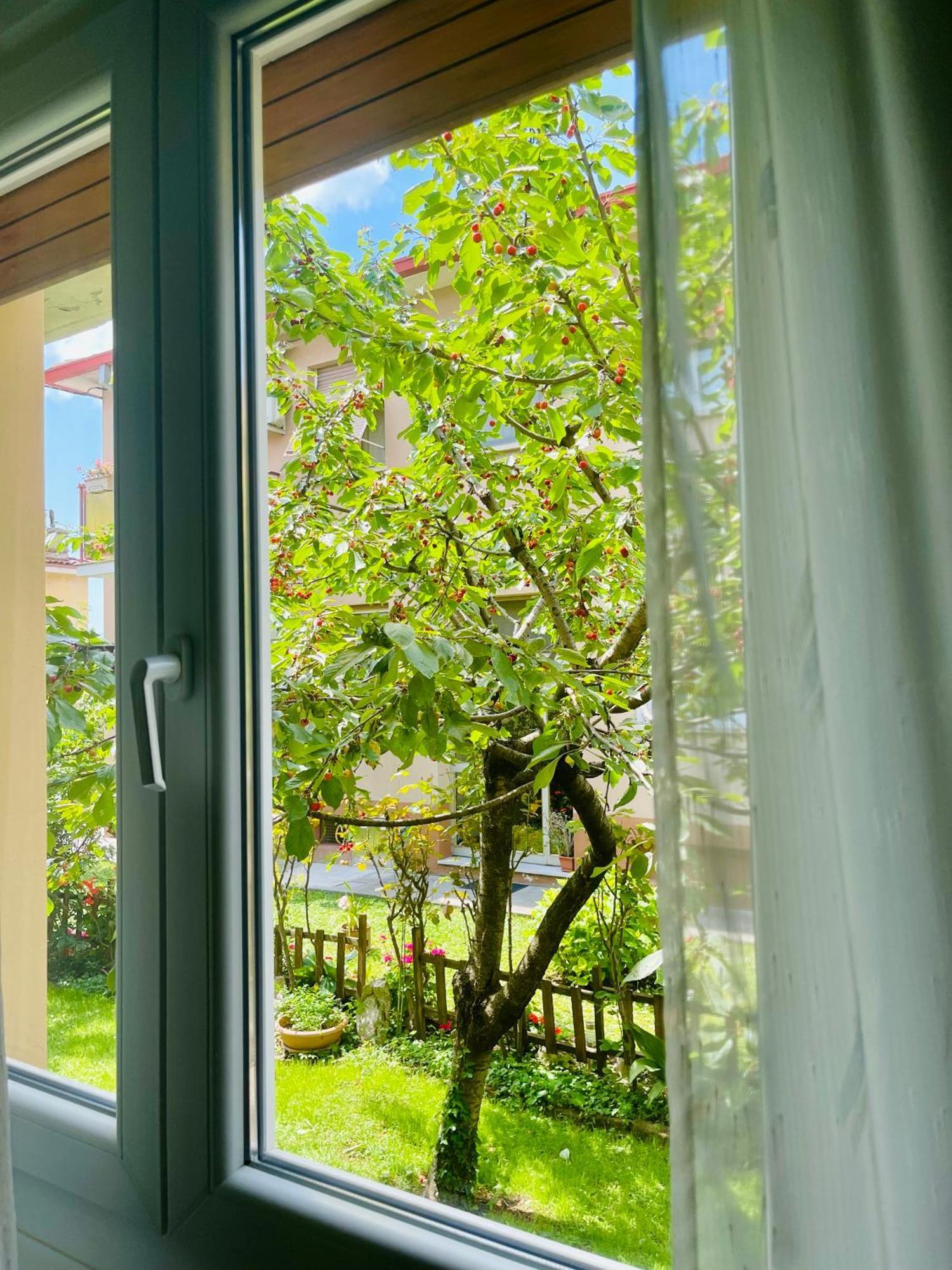 Le Rose Apartment Trieste Exterior photo